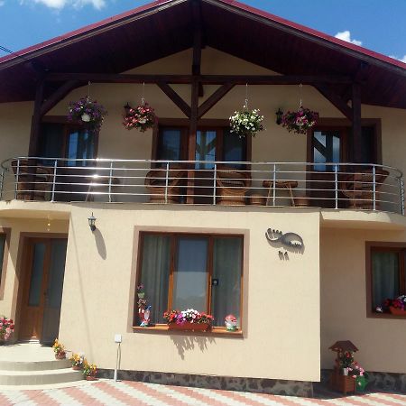 Hotel Casa Infinity à Sovata Extérieur photo