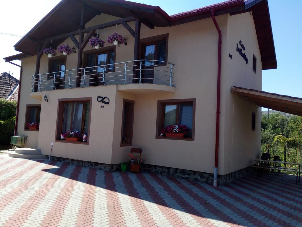 Hotel Casa Infinity à Sovata Extérieur photo