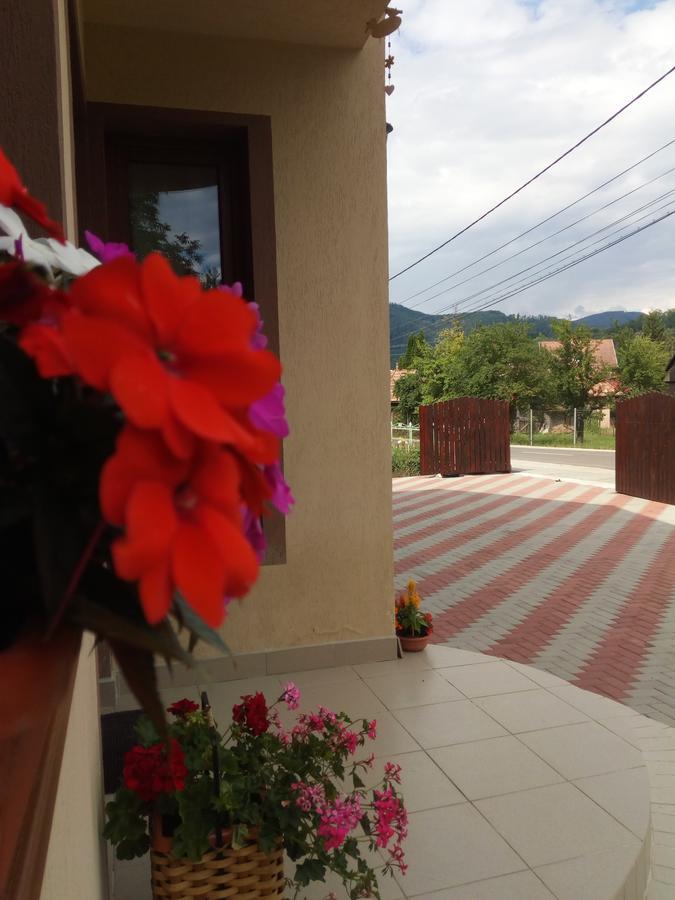 Hotel Casa Infinity à Sovata Extérieur photo