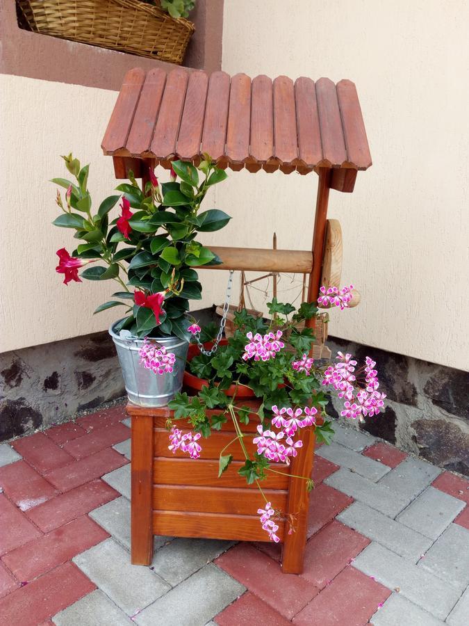 Hotel Casa Infinity à Sovata Extérieur photo